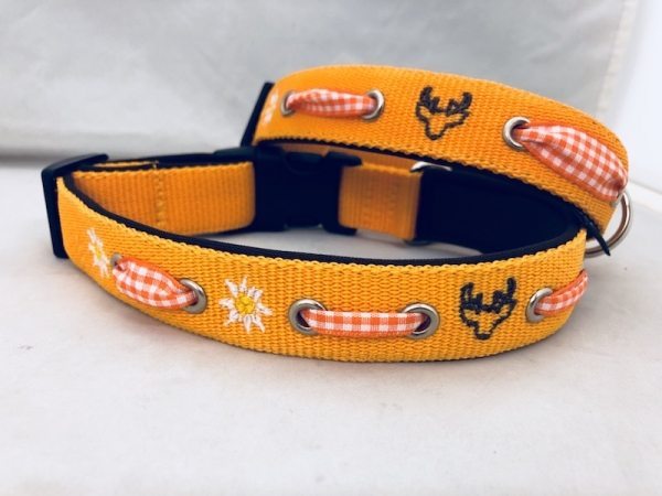 Hundehalsband Alpenfieber